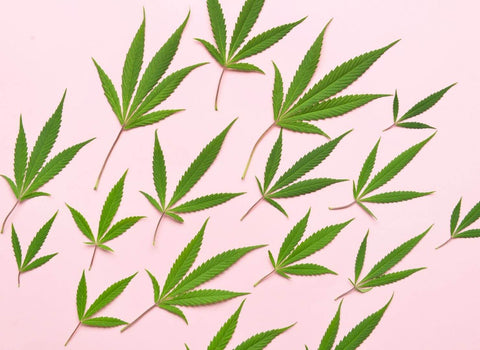 What Do Delta 9 Gummies Do?