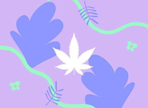 Full-Spectrum vs. Broad-Spectrum CBD for Anxiety