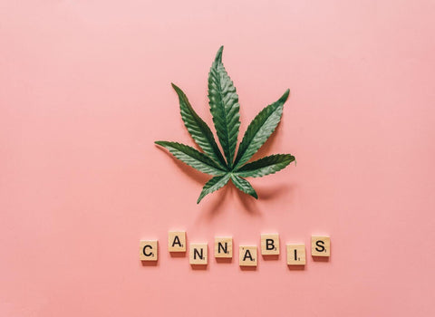 What is the Best THC Gummy for Sleep?
