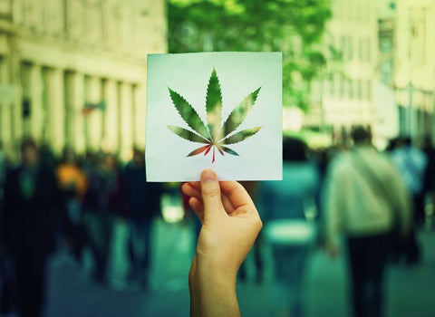 How Fast Do THC Drinks Work?