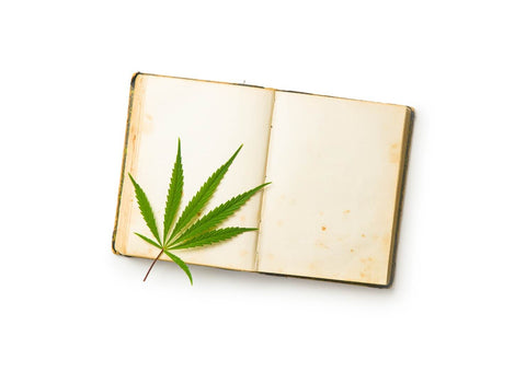 What Are the Best Edibles for Sciatica Pain?