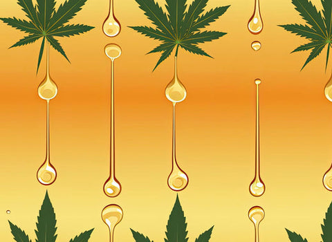 Is CBD good for focus and concentration? by namaCBD