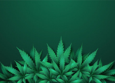 Microdosing cannabis for thyroid cancer-namaCBD