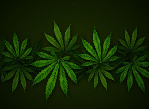 The nama™ guide to indica-dominant hybrid strains