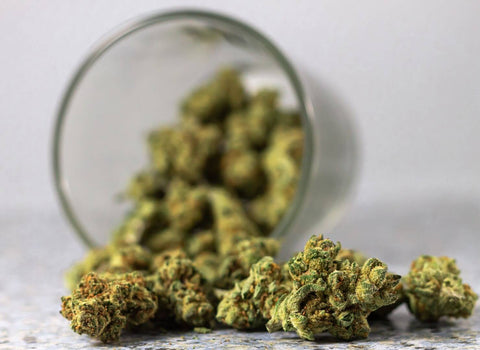 Top 10 sativa-dominant hybrid strains