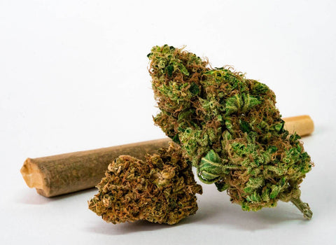 What are the best terpenes for ADHD