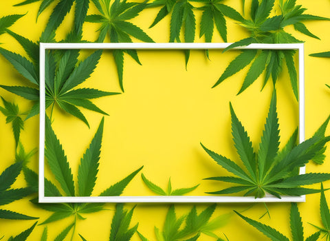 What are the side effects of hybrid weed? by namaCBD