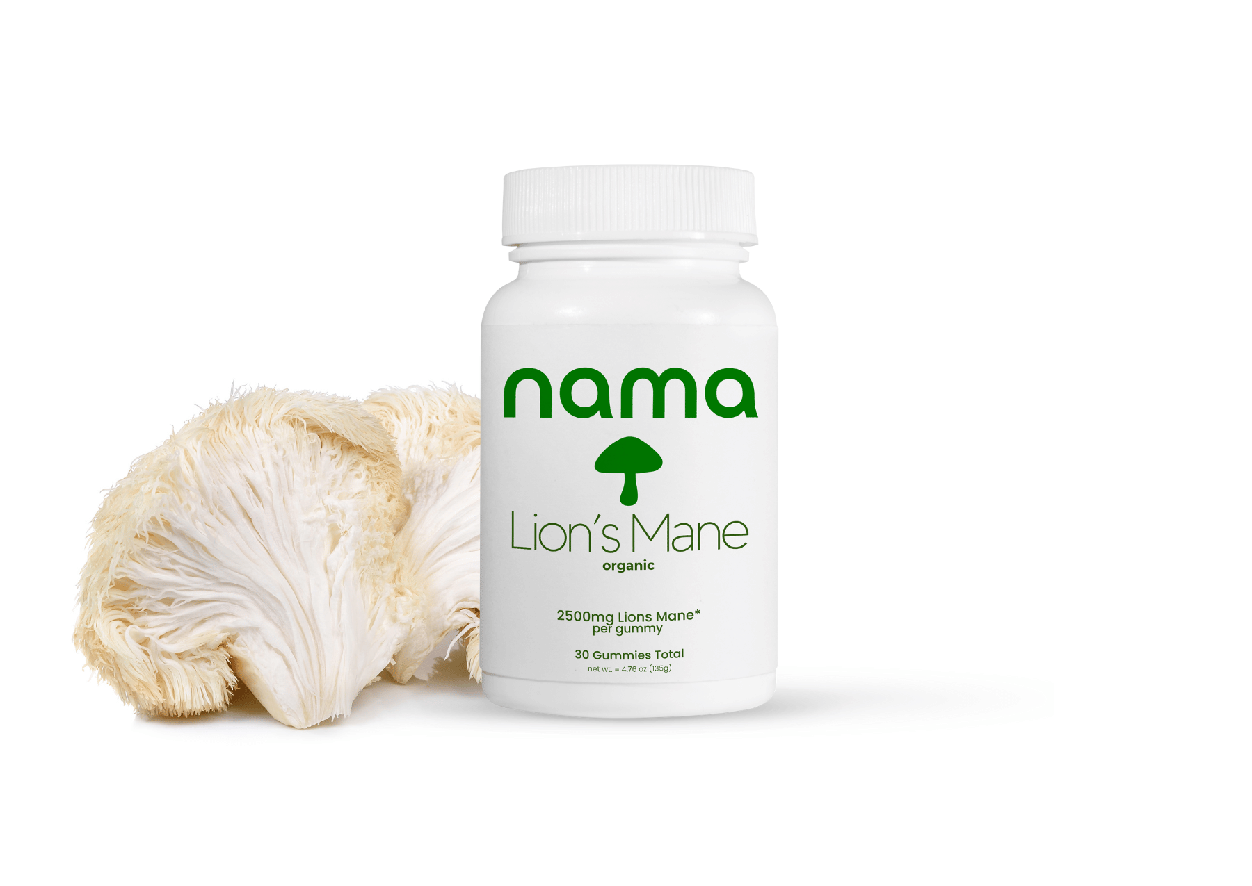 Lion'S Mane