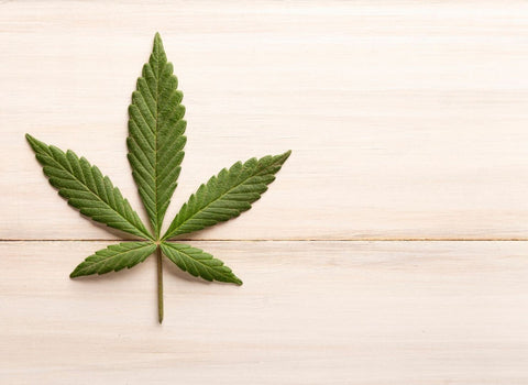 Do THC Drinks Hit Faster?