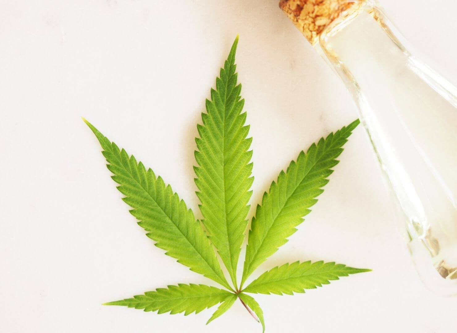 How to Make THC Drinks—The Easy Way to Make Buzztails – nama