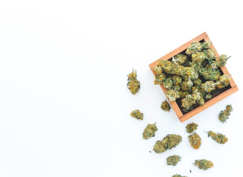 Microdosing Cannabis for Ovarian Cancer