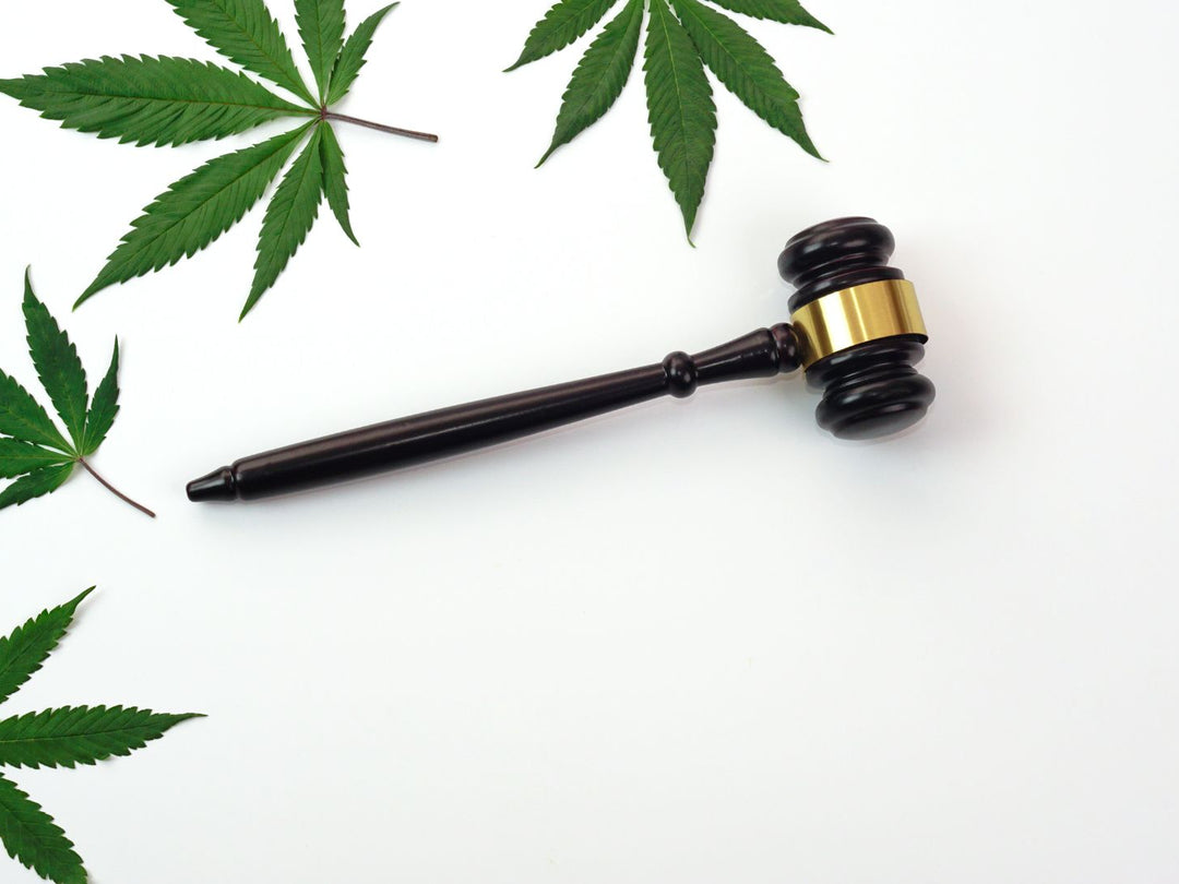 Cbd and thc information nama