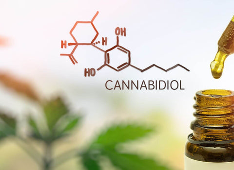 CBD's anti-inflammatory effects ease rheumatoid arthritis pain and swelling. Our organic CBD gummies make it easy to find your dose and enjoy lasting relief.