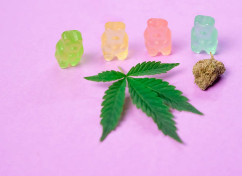 8 reasons to use cannabis edibles for mental health