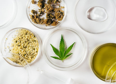 What is the best CBD for joint pain relief? by namaCBD