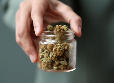 What is the best type of hybrid weed for chronic fatigue? namaCBD