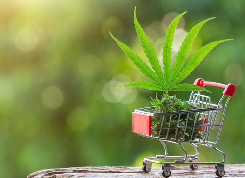 Where to buy Buzz Drops™ - namaCBD