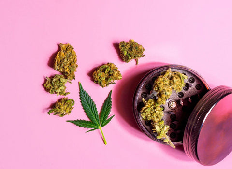 Cannabis has no direct effect on muscle size, but dose changes the picture for athletes: low amounts may aid recovery, high amounts might work against you.