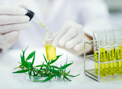 CBD seems to reduce menstrual pain through multiple pathways, according to research. Learn about the effectiveness and side effects of using CBD for menstrual cramps.