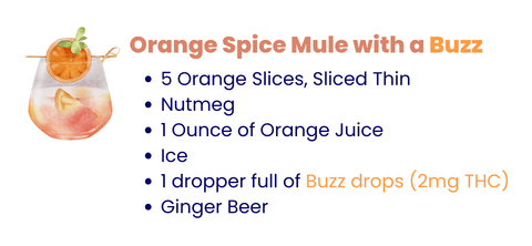 Take a break with our cannabis Moscow mule mocktail