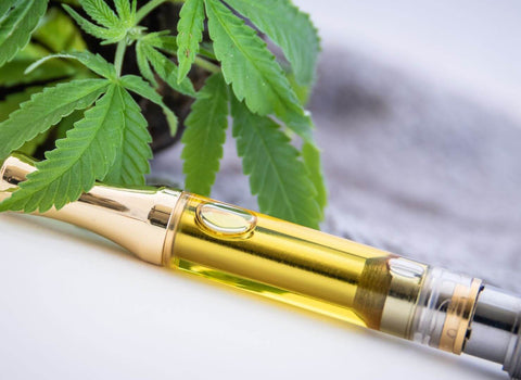 Cannabis modulates dopamine in the brain regions that control attention. Research shows cannabis may sharpen focus at 2.5–5 mg and impair it above 10 mg.