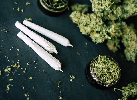 Microdosing weed for weightlifting is all about timing. Learn when and how to use cannabis to enjoy the benefits while hitting your fitness goals.