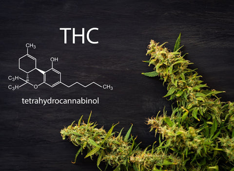 Microdosing THC for anxiety works. Small doses of THC and CBD relieve stress and worry. Our low-dose THC products help you manage anxiety symptoms without impairment.