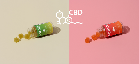 How to Choose the Right CBD Brand in 2022 - 3 Easy Steps to Take
