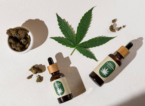 CBD Dosage: How Much CBD for Stress and Anxiety?