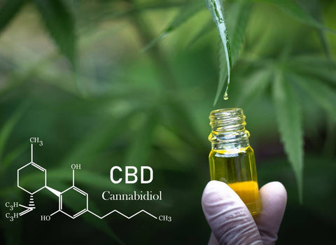 Everything You Need to Know About CBD Skincare