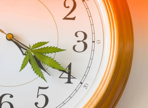 Will Microdosing THC Make Me Fail a Drug Test?