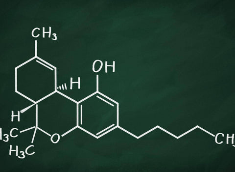 Microdosing Edibles for Migraines