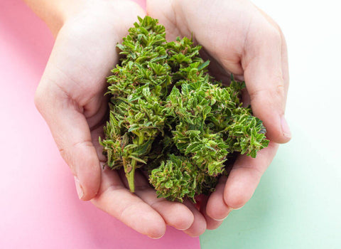 Microdosing Edibles for Anxiety