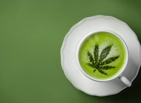 Can You Drink Weed? The Buzz on Cannabis Drinks