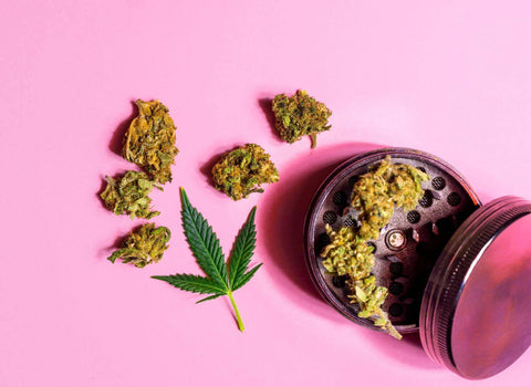 What is THC? Benefits, Uses, and Risks of Using THC